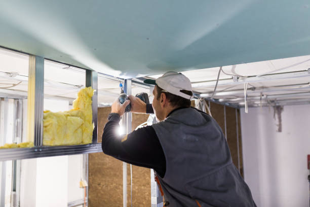 Best Residential Insulation in Martindale, TX