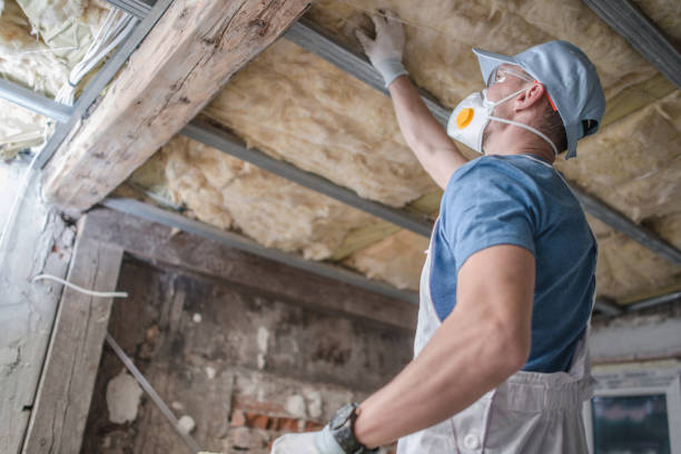 Best Specialty Insulation in Martindale, TX