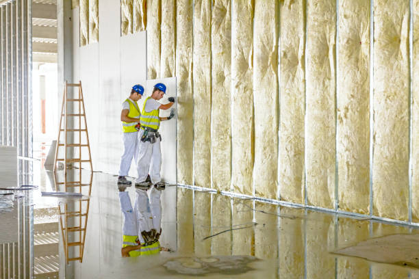 Best Commercial Insulation in Martindale, TX
